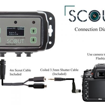 COGNISYS SCOUT TRAIL MONITOR
