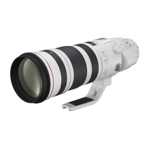 CANON EF 200-400MM F4L IS USM & Extender 1.4x